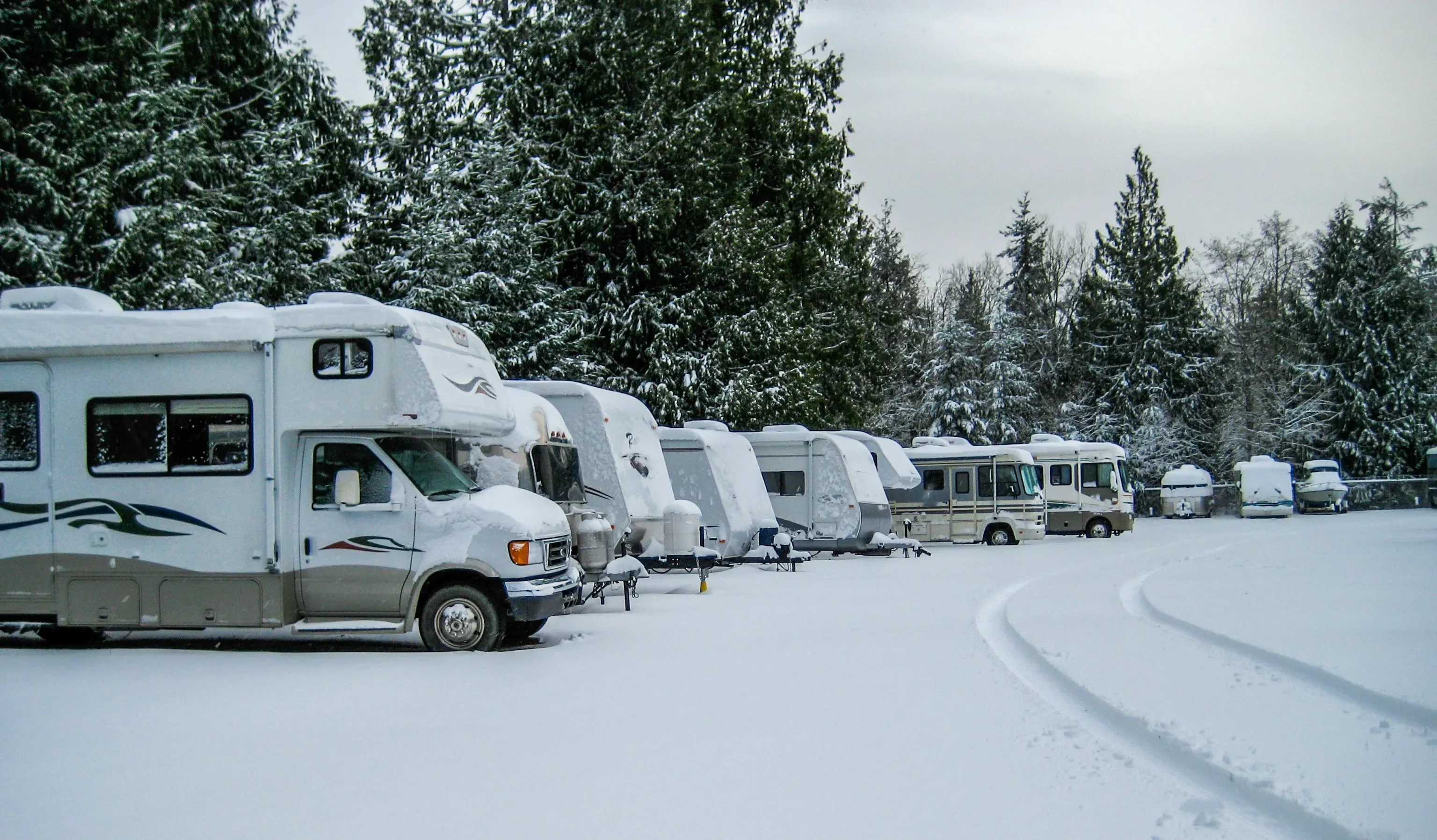 RVs and travel trailers covered in snow stored in a lot with evergreen trees in the background. 